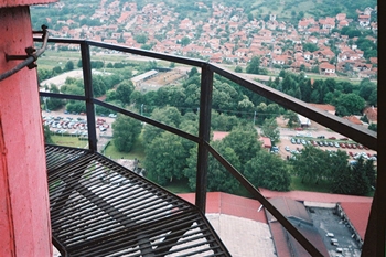 tigar guma, pirot