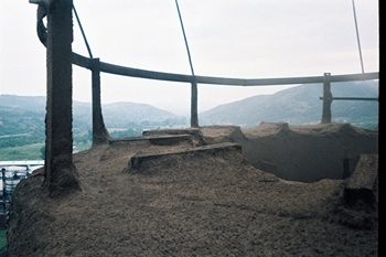 tigar guma, pirot